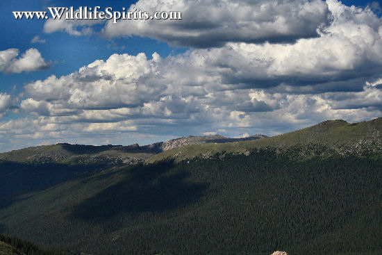Click Picture to send as an  E-PostCard 62k 550x367